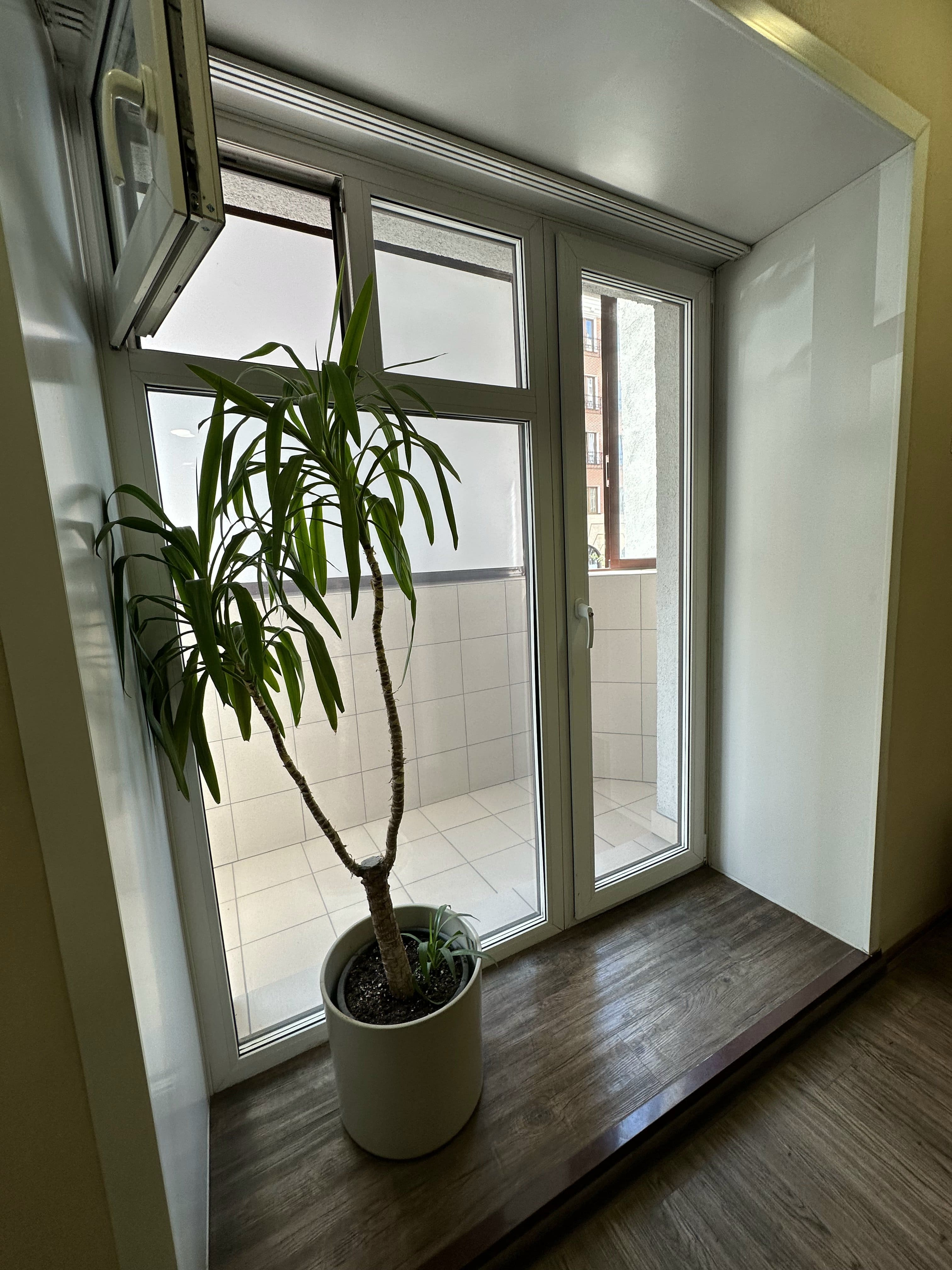 Портфолио 8